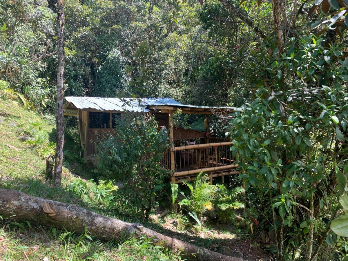 La Casa De Loto Retreat Guatape Ngoại thất bức ảnh